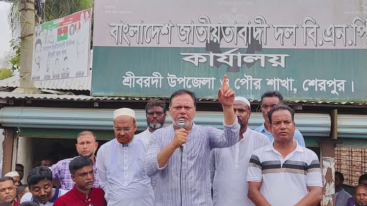 জুলাই গণঅভ্যুত্থান উদযাপন উপলক্ষে শ্রীবরদীতে বিএনপি’র বর্ণাঢ্য বিজয় র্যালি