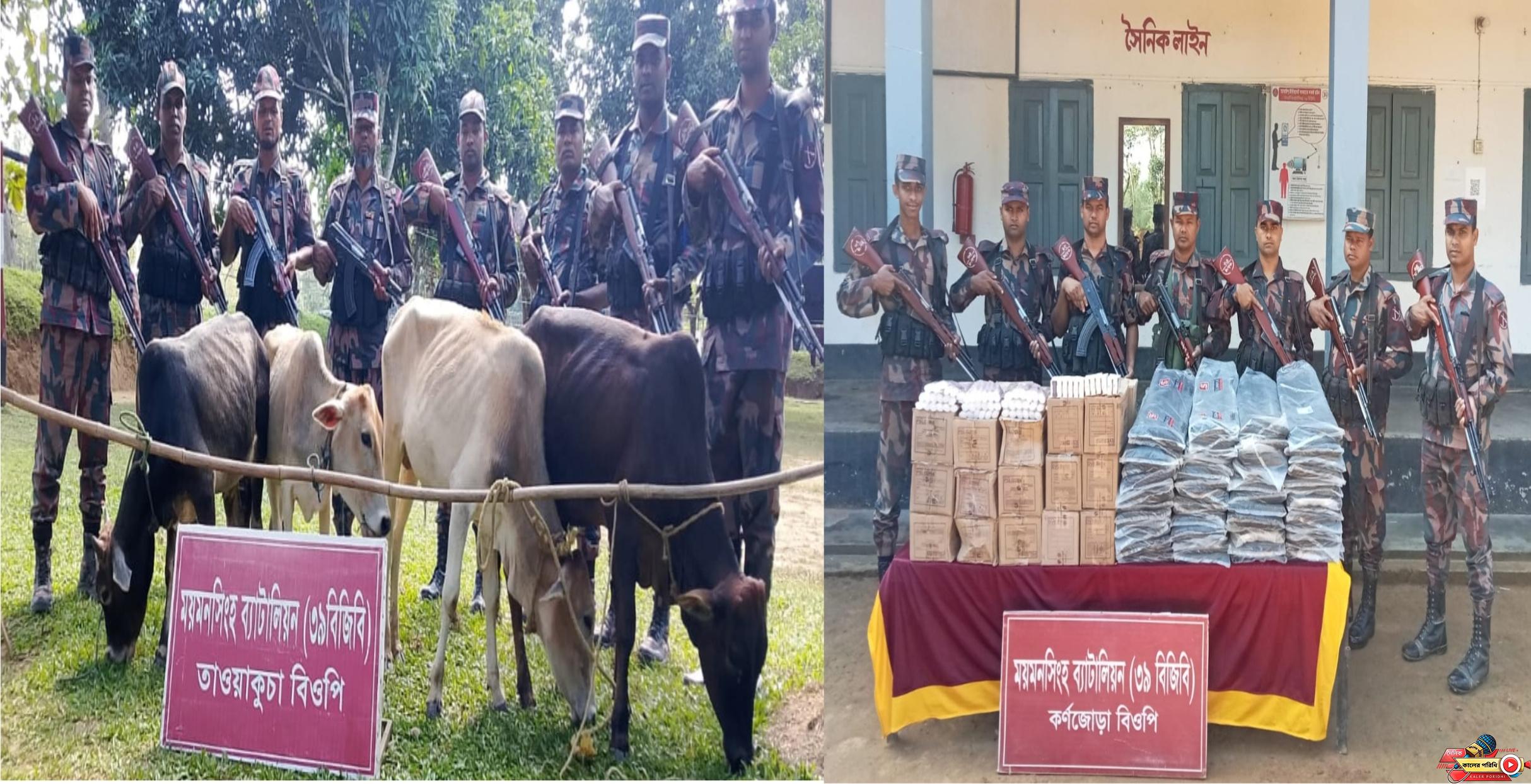শ্রীবরদী সীমান্তে বিজিবির অভিযানে ভারতীয় গরু, কাপড় ও কসমেটিক আটক