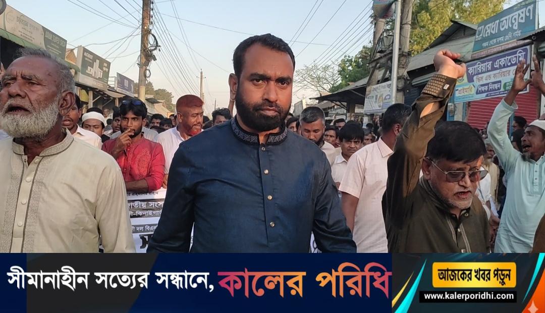 মিছিলে মুখরিত শ্রীবরদী ধানের শীষের প্রার্থী রুবেলের নির্বাচনী জনসভায় জনতার ঢল