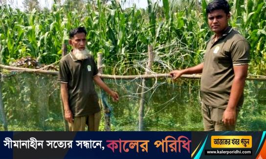 ফসলি মাঠে বন্য হাতির আক্রমণ ঠেকাতে অবৈধ বিদ্যুৎ ফাঁদ, বন বিভাগের অভিযানে লাইন বিচ্ছিন্ন